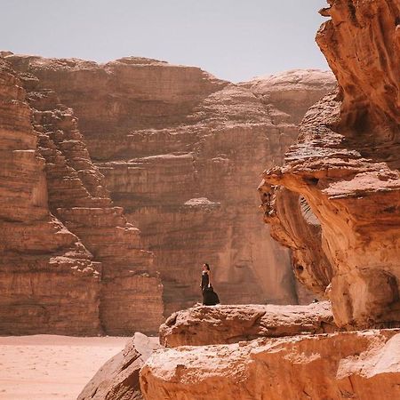 Bedouin Desert Camp ワディ ・ラム エクステリア 写真